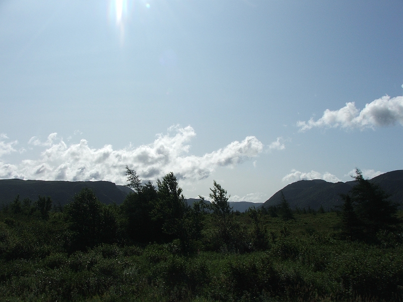 NFLD_drive_to_and-viking_settlement 344.jpg